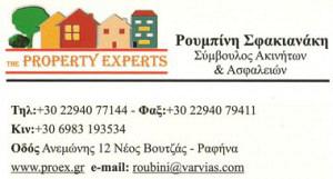 THE PROPERTY EXPERTS